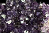 Dark Purple Amethyst Cluster On Wood Base #76686-2